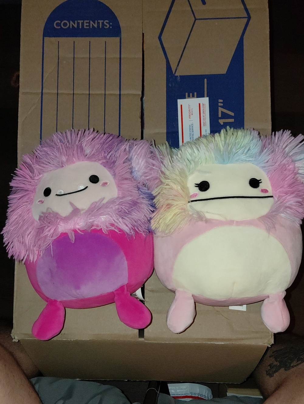 Squishmallows Pink & Pastel Multicolor Plush Pair
